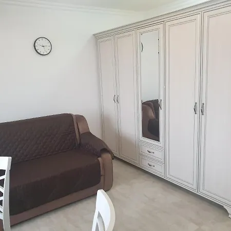 Solid Studio